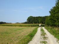  Blick auf die Wanderstrecke 