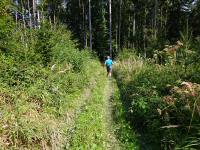  Blick auf die Wanderstrecke 