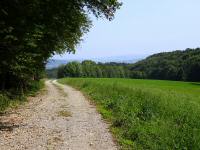  Blick auf die Wanderstrecke 