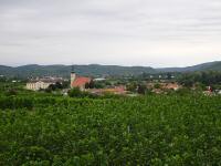 schner Fernblick zum Schloss und Pfarrkirche Gobelsburg 