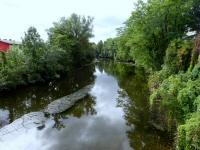  Blick auf den Kamp flussabwrts  