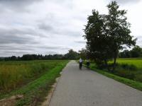  Wanderroute kurz auf der Strae Richtung Kammern 