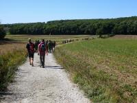  Blick auf die Wanderstrecke 