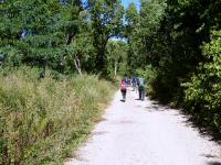  Wanderroute im Martalwald 