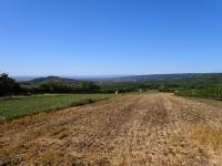  schner Fernblick nach Winden am See 