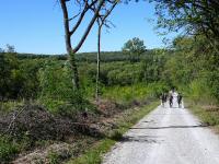  Wanderroute entlang des Zeilerbergs 