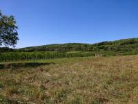  Fernblick zu den Auslufer des Leithagebirges 