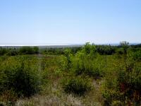  Fernblick zum Neusiedler See 