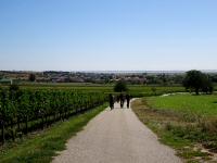  Wanderroute nach Winden am See 