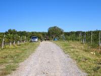  Wanderroute auf den Gritschenberg 