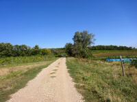  Wanderroute auf den Gritschenberg 