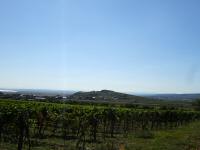  Fernblick nach Jois und zum Tannenberg 