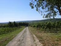  Wanderroute bergab vom Gritschenberg 