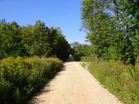  Wanderroute durch den Spitalwald 