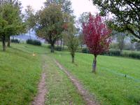  Blick auf die Wanderstrecke 