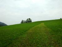 Blick auf die Wanderstrecke bergan auf den Kerschenberg 