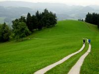  Wanderroute bergab nach Berg 