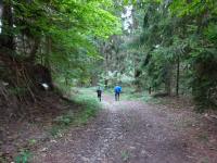  Wanderroute nach Berg  