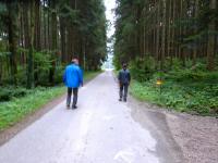 Wanderstrecke bei der Streckenzusammenfhrung 12/17 km