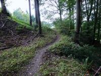  Blick auf die Wanderstrecke am Haubenberg 