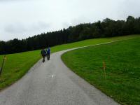  Blick auf die Wanderstrecke am Haubenberg 