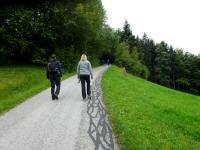  Blick auf die Wanderstrecke am Haubenberg 