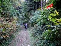  Wanderroute bergab nach Reinsberg 