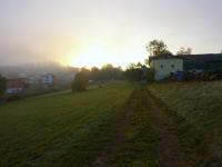  der Sonne entgegen 