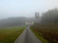  Blick auf die Wanderstrecke 