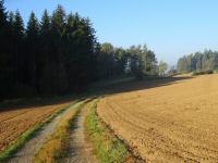  Blick auf die Wanderstrecke 