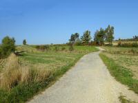  Blick auf die Wanderstrecke 