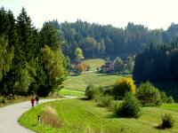  der Blick zurck nach Kleinmarbach 