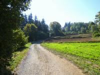  Blick auf die Wanderstrecke 