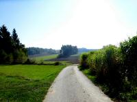  Blick auf die Wanderstrecke 