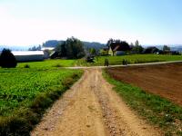 Wanderstrecke bei der Streckenzusammenfhrung in Annatsberg 