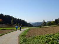  Blick auf die Wanderstrecke 