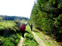  Wanderroute nach Rappottenstein 