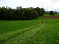  Blick auf die Wanderstrecke zum Biberbach 