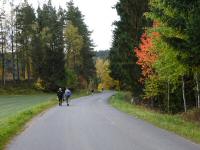  Wanderroute kurz auf der Landstrae (L7298) Richtung Langschlag 