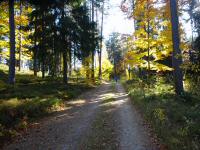  Blick auf die Wanderstrecke auf dem Waldlehrpfad 