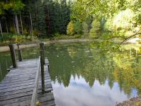  Blick zum Waldteich 