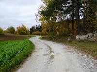  Wanderroute auf dem Hochstegenberg 