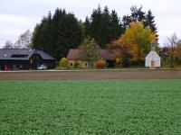 Blick zu den Langschlgerwaldhuser mit der Ortskapelle 