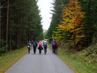  Wanderroute zum Ghs Kampbrcke (Langschlgerwald) 