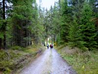 Wanderroute zum Landesgrenzfluss dem "Groen Kamp" 