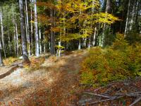  Blick auf die Wanderstrecke 