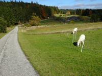  Blick auf die Wanderstrecke 