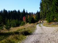  Blick auf die Wanderstrecke Richtung Karlstift 