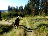  Blick auf die Wanderstrecke Richtung Karlstift 