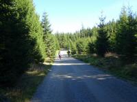  Blick auf die Wanderstrecke 